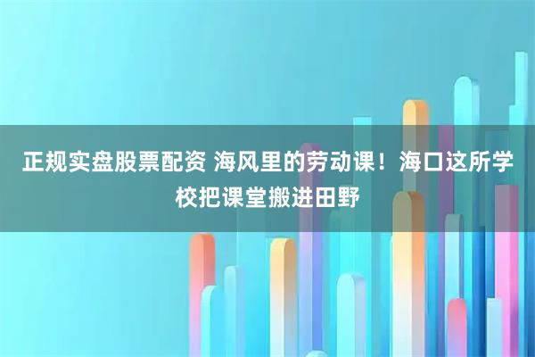 正规实盘股票配资 海风里的劳动课！海口这所学校把课堂搬进田野